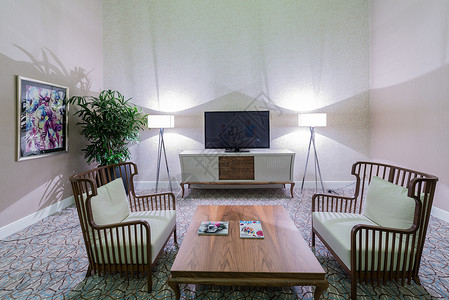 带现代家具的房间内部图片