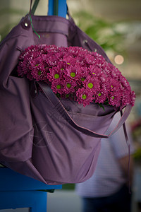 包里放紫花图片