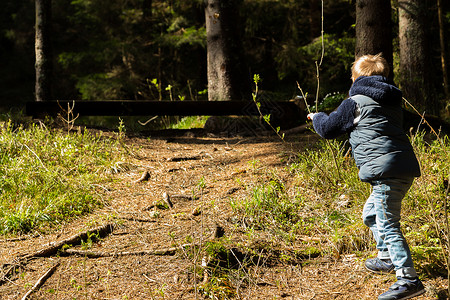 一个小男孩在树林里带着孩子走在美丽的森林图片