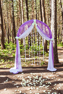 紫色玫瑰婚礼拱门婚礼装饰图片