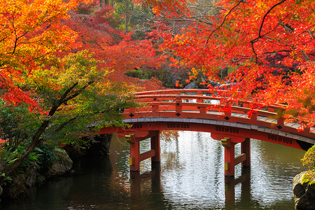 日本秋季公园的木桥图片