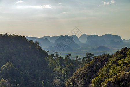 绿色丛林景观热带山图片