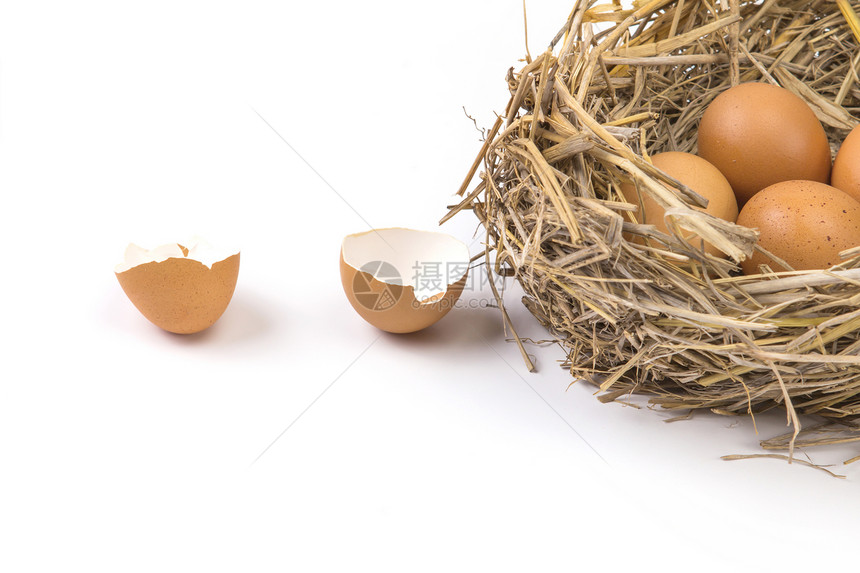 树枝巢棕色鸡蛋破空壳蛋图片