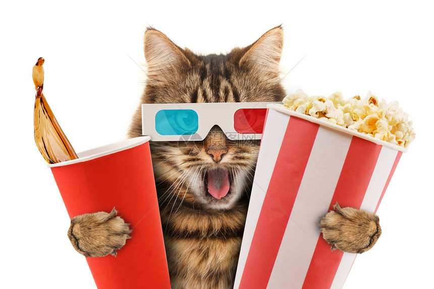 猫在看电影以3D杯眼镜与图片