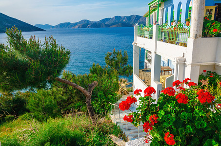 希腊花园和希腊住宅露台的呼吸透视带红花图片