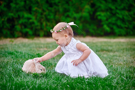 有兔子的可爱小女孩有个青草背景图片