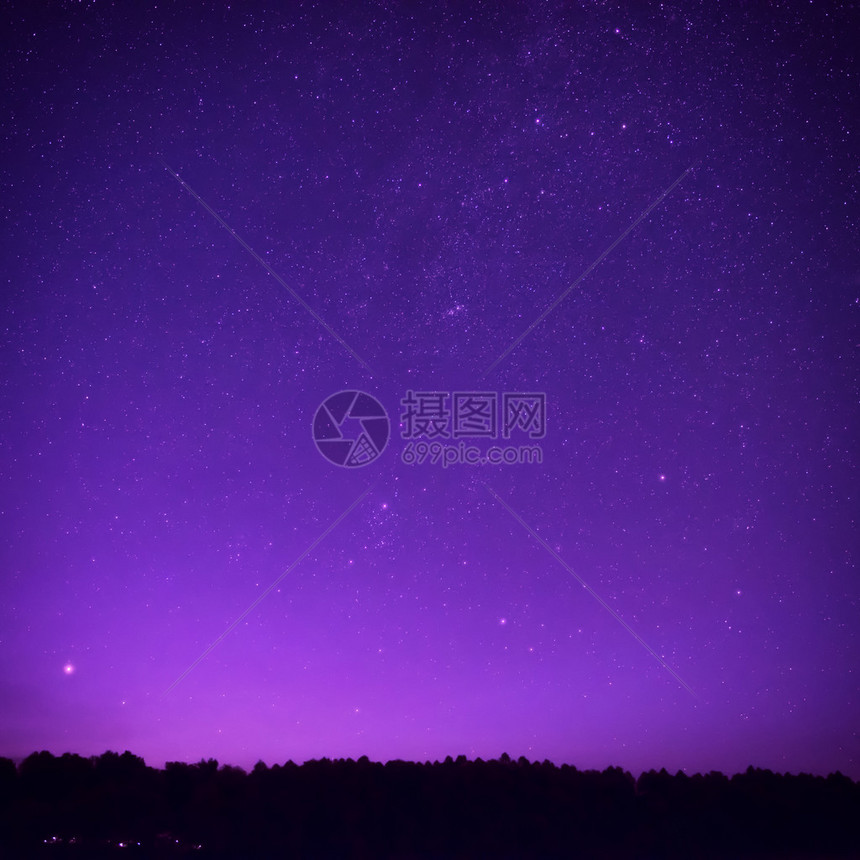 美丽的紫色夜空森林上方有许多恒星图片