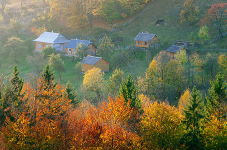 山村秋天季节风景喀尔巴阡山脉图片