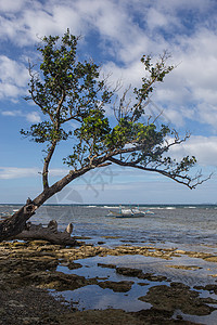 菲律宾岛上的复古海滩背景图片