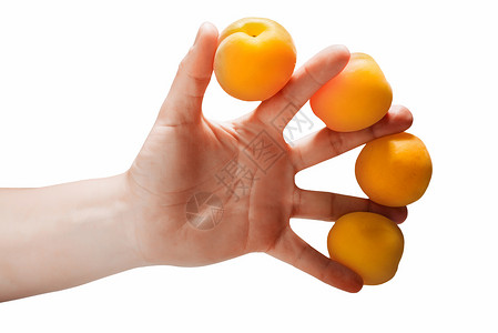 妇女手握着四颗杏子在图片