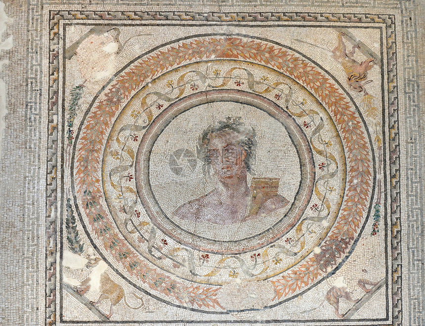 世纪古罗马地板马赛克的阿波罗图片