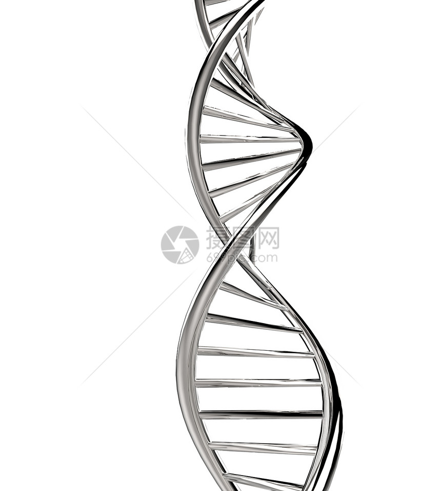 金属DNA图片
