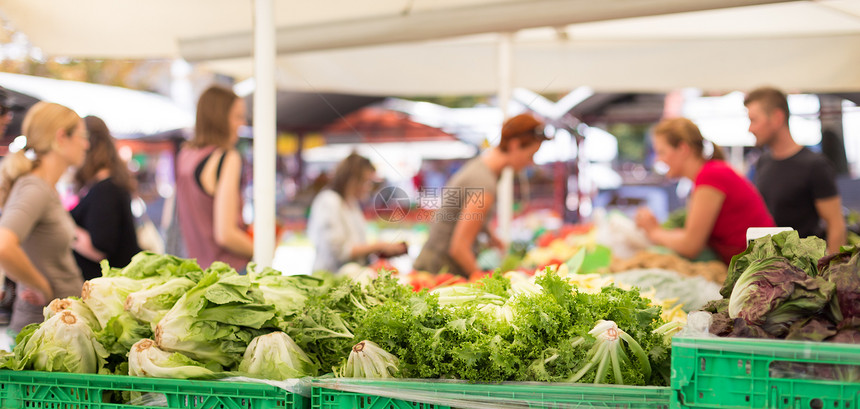 农民食品市场与各种有机蔬菜相隔绝图片