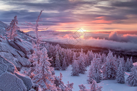 紫色山地森林和的风景俄图片