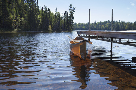 在明尼苏达北部的鳟鱼湖上一条黄牛叉轻量小独木舟图片