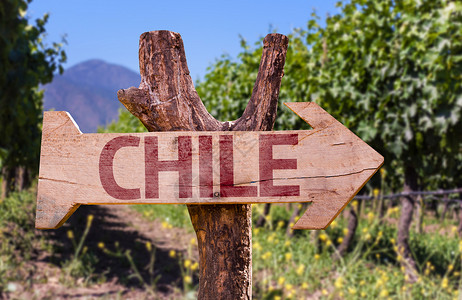 智利木牌酒厂背景图片