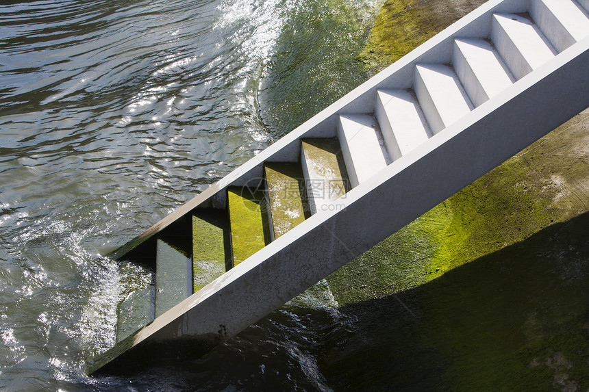 水泥楼梯从水中流出来第一步是绿色图片