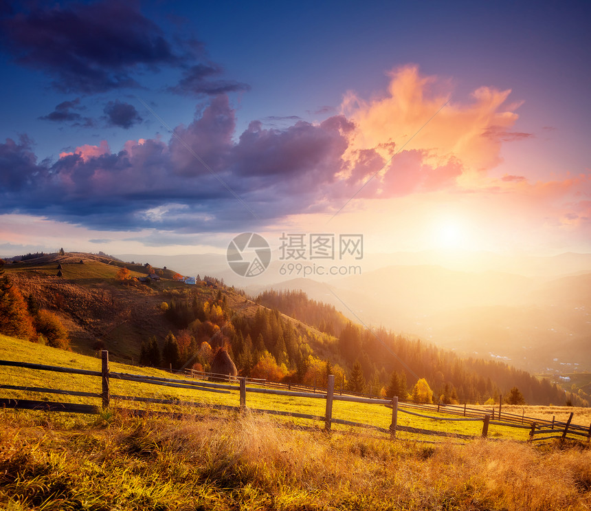 雄伟的多彩景观与山谷中阳光明媚的光束红色和黄色的秋叶喀尔巴阡山脉图片