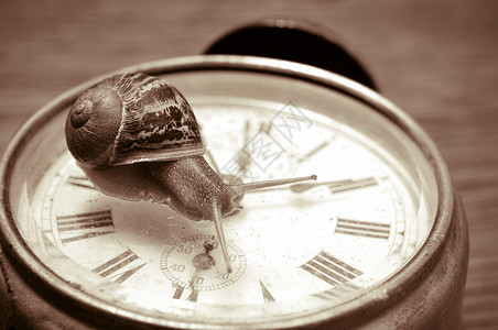 在旧桌面时钟上的地蜗牛以喜图片