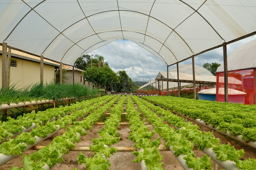 水培农场温室图片