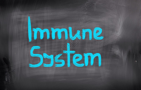 免疫系统概念图片