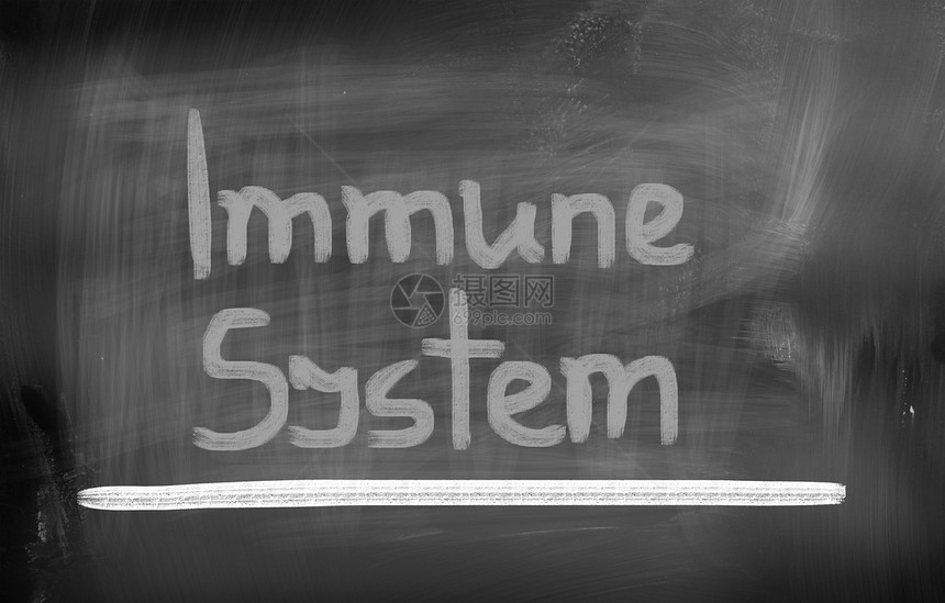 免疫系统概念图片