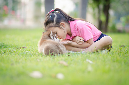 美丽的亚洲女孩在青草上玩耍和一个西比莉图片