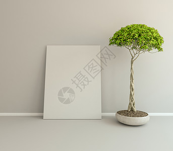 斜着墙壁右边的植物白色背景图片