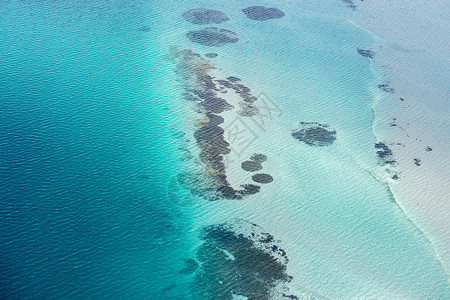 米娅在湾的空中观察猴子背景