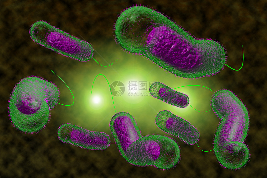 3D近距离说明微生物霍乱菌感染情况图片