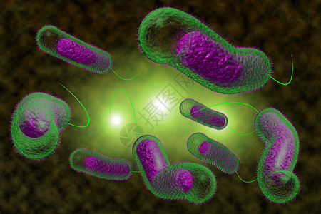 3D近距离说明微生物霍乱菌感染情况图片