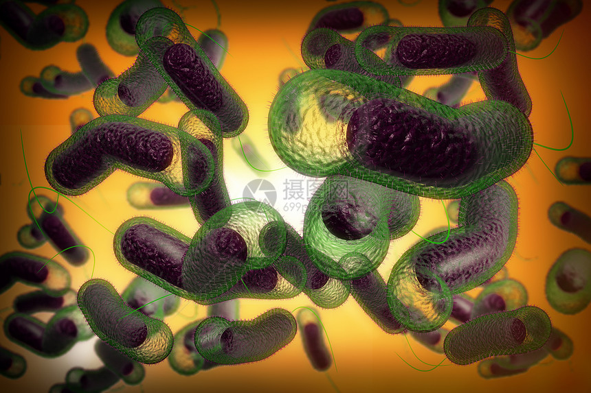 3D近距离说明微生物霍乱菌感染情况图片