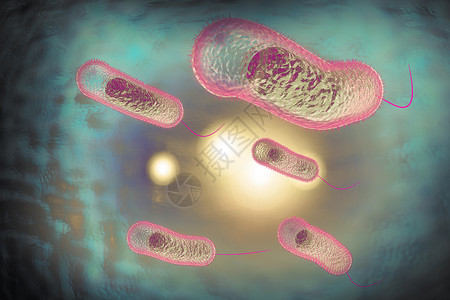 3D近距离说明微生物霍乱菌感染情况高清图片