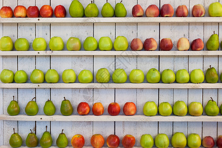 苹果和梨子堆在白设计师图片