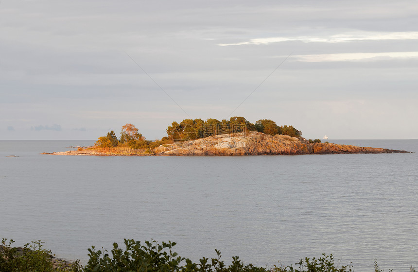 瑞典群岛松树覆盖的岛屿图片