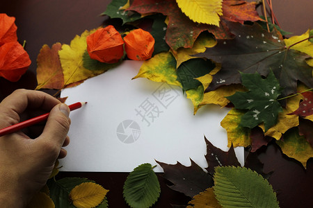 秋季壁纸学生铅笔图片