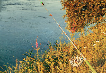 在美丽的河岸的河岸上装有渔具用棍子和鱼图片