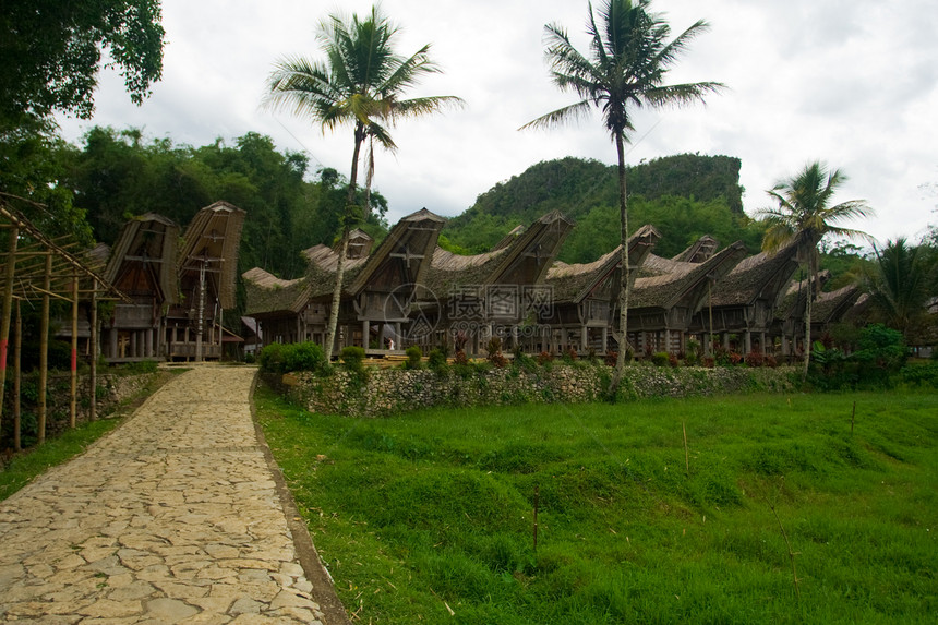 印度尼西亚苏拉威西Rantepao附近一个被保护的Tana图片