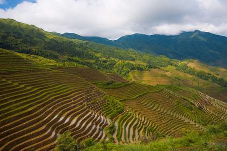 在广西的龙骨山长吉山边图片