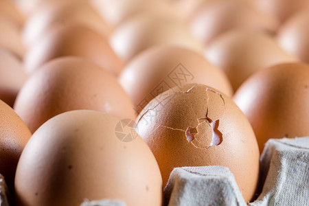 新鲜鸡蛋排在包装上图片