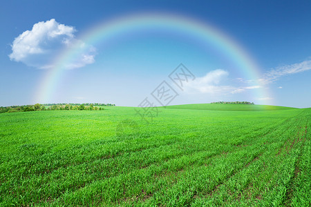 绿草如茵蓝天白云彩虹背景图片