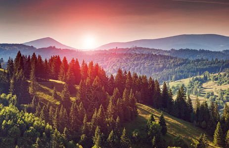 黄昏的美丽绿色山丘戏剧红色的天空喀尔巴阡山脉图片