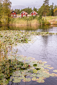 瑞典欧洲传统红木假度之家传图片