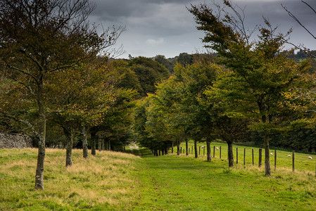 英格兰乡村秋季的乡村景观图片