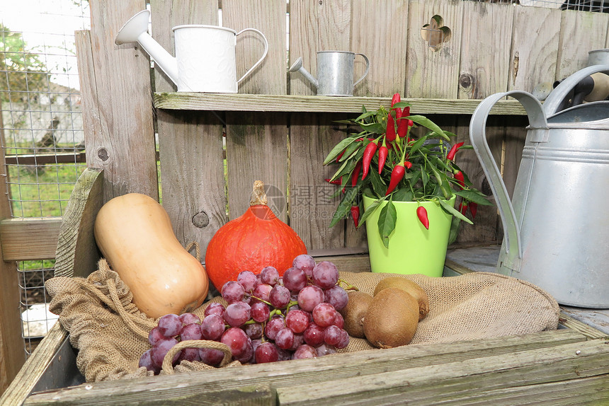 木制背景下的秋季水果和蔬菜图片