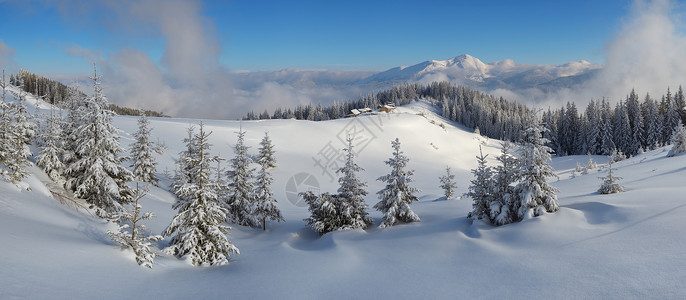 山区冬季景观的全景雪下的冷杉林圣诞景色牧羊人的木屋喀尔巴阡山脉图片