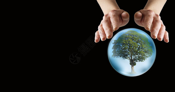 女双手悬浮在水晶球上显示一棵孤单的树在深厚背景图片