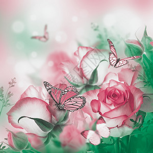 鲜玫瑰鲜花明亮的背景和蝴图片