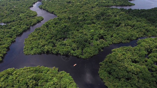 巴西亚马逊河鸟瞰图背景图片