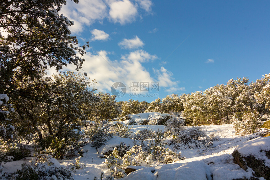蓝天白云的雪景图片